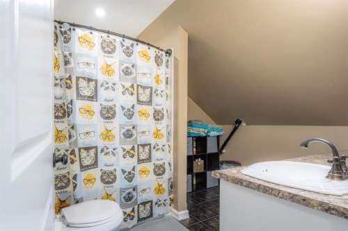 5206 48 Street, Lloydminster, AB - Indoor Photo Showing Bathroom
