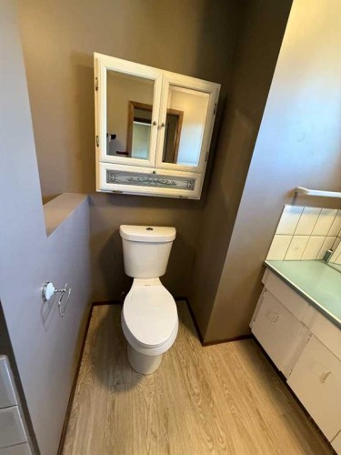 5417 52 Avenue, Mannville, AB - Indoor Photo Showing Bathroom