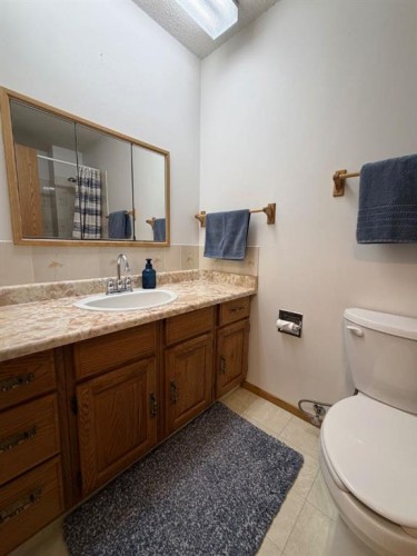 530 20 Street, Wainwright, AB - Indoor Photo Showing Bathroom