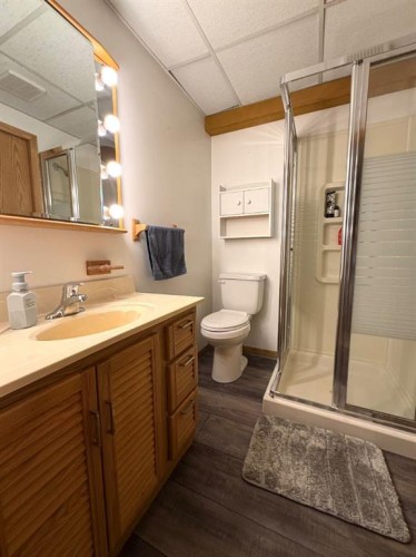 530 20 Street, Wainwright, AB - Indoor Photo Showing Bathroom