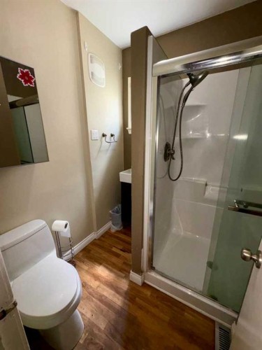 4831 52 Street, Innisfree, AB - Indoor Photo Showing Bathroom