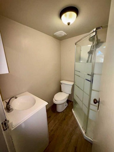 4831 52 Street, Innisfree, AB - Indoor Photo Showing Bathroom