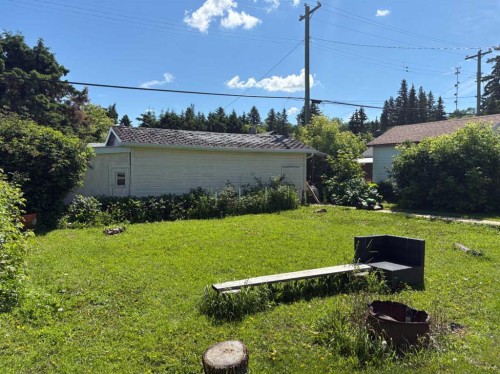 4831 52 Street, Innisfree, AB - Outdoor
