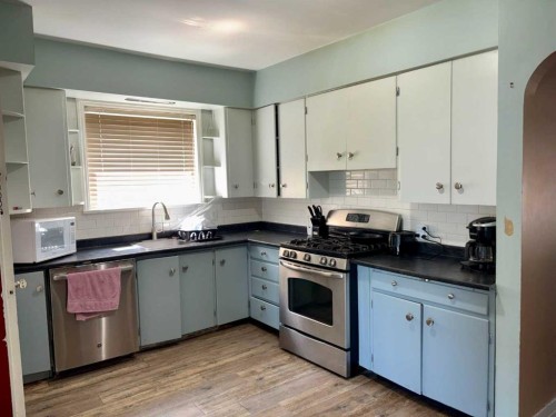 4831 52 Street, Innisfree, AB - Indoor Photo Showing Kitchen