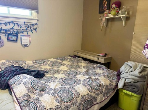 4831 52 Street, Innisfree, AB - Indoor Photo Showing Bedroom