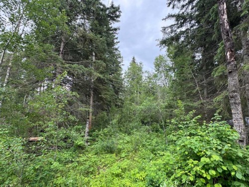 137 Walanne Way, Turtle Lake, SK 
