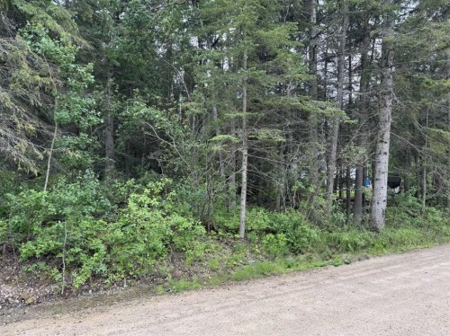 221 Walanne Way, Turtle Lake, SK 