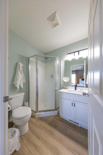 6116 21 Street, Lloydminster, AB - Indoor Photo Showing Bathroom