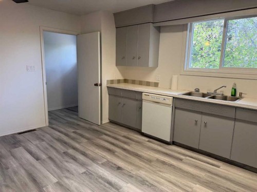 5120 45 Street, Provost, AB - Indoor Photo Showing Kitchen With Double Sink