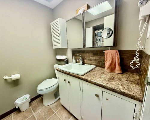 5107 46 Street, Provost, AB - Indoor Photo Showing Bathroom
