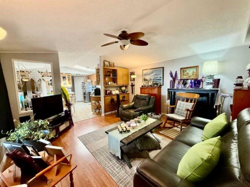 4024 51 Avenue, Provost, AB - Indoor Photo Showing Living Room