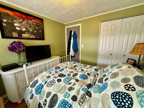 4024 51 Avenue, Provost, AB - Indoor Photo Showing Bedroom