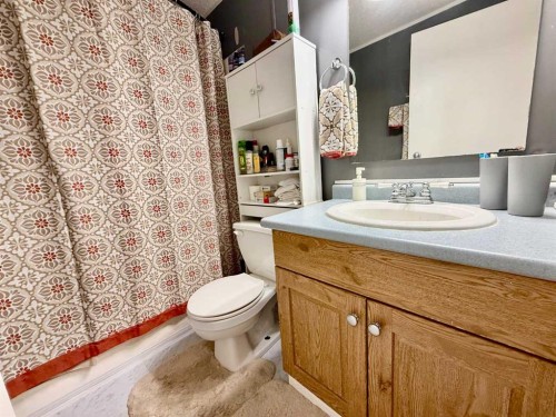 4024 51 Avenue, Provost, AB - Indoor Photo Showing Bathroom