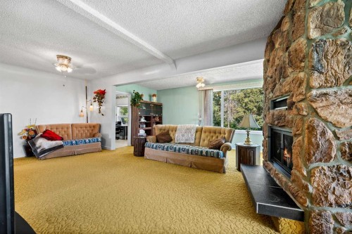 32037 Twp 504, Kitscoty, AB - Indoor Photo Showing Living Room With Fireplace