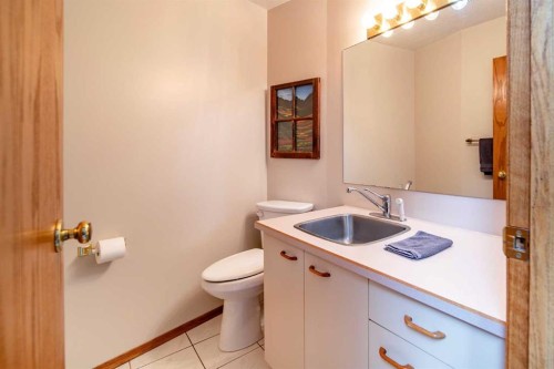 405065 Rge Rd 63, Czar, AB - Indoor Photo Showing Bathroom