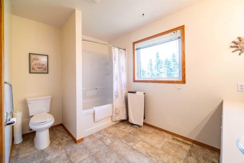 405065 Rge Rd 63, Czar, AB - Indoor Photo Showing Bathroom