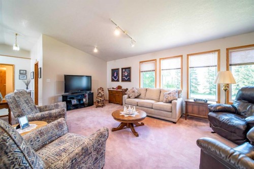 405065 Rge Rd 63, Czar, AB - Indoor Photo Showing Living Room