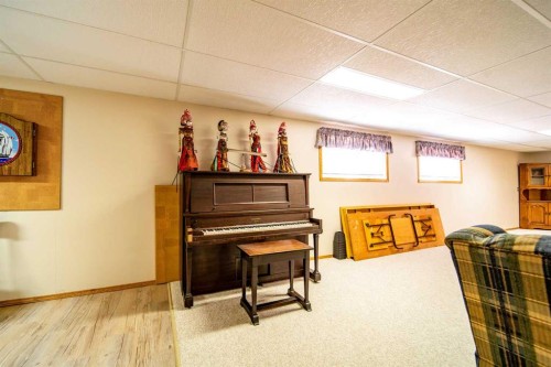405065 Rge Rd 63, Czar, AB - Indoor Photo Showing Basement