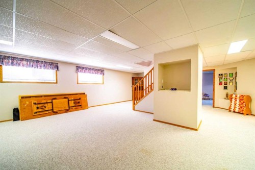 405065 Rge Rd 63, Czar, AB - Indoor Photo Showing Basement