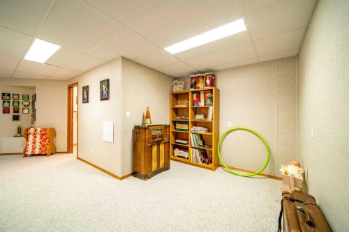 405065 Rge Rd 63, Czar, AB - Indoor Photo Showing Basement