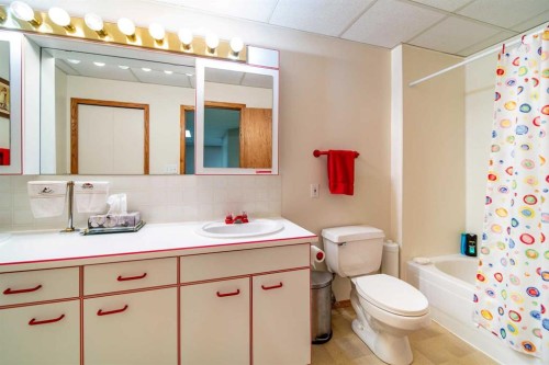 405065 Rge Rd 63, Czar, AB - Indoor Photo Showing Bathroom