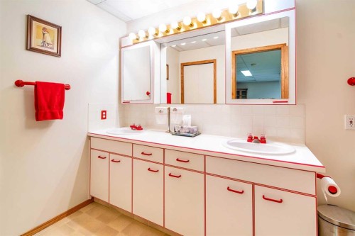 405065 Rge Rd 63, Czar, AB - Indoor Photo Showing Bathroom