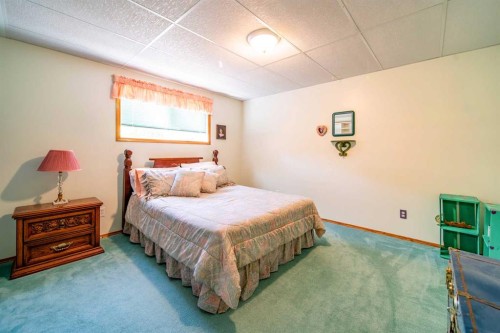 405065 Rge Rd 63, Czar, AB - Indoor Photo Showing Bedroom