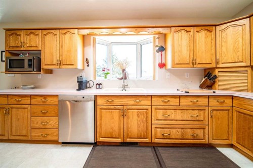 405065 Rge Rd 63, Czar, AB - Indoor Photo Showing Kitchen