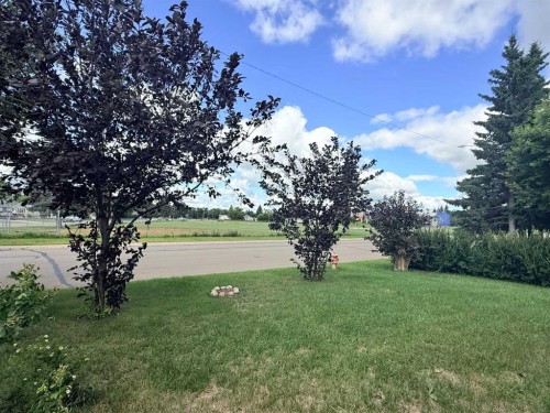 215 14 Street, Wainwright, AB - Outdoor With View