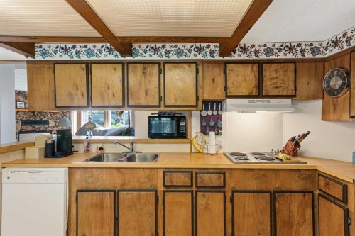 5024 49 Avenue, Kitscoty, AB - Indoor Photo Showing Kitchen With Double Sink