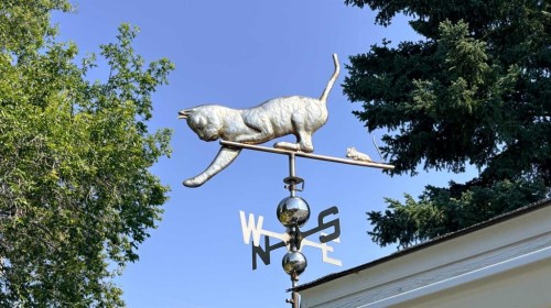 1046 17 Avenue, Wainwright, AB 