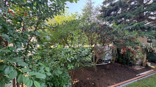 1046 17 Avenue, Wainwright, AB 