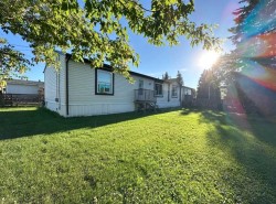 5243 47 Street Mannville, AB T0B 2W0