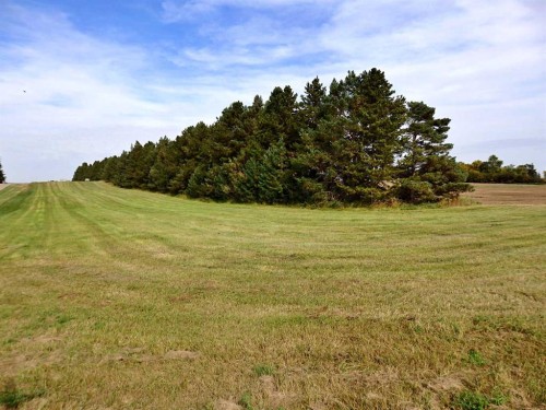 45070 514 Township, Rural Vermilion River, County Of, AB 