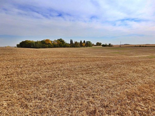 45070 514 Township, Rural Vermilion River, County Of, AB 