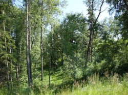 Lot 4 Blk 5 LAKESIDE Drive  Perch Lake, SK S0M 2G0