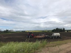 9001 90 Street  Sexsmith, AB T0H 3C0