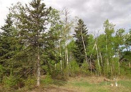 122 Wolf Run Drive, Rural Ponoka County, AB 