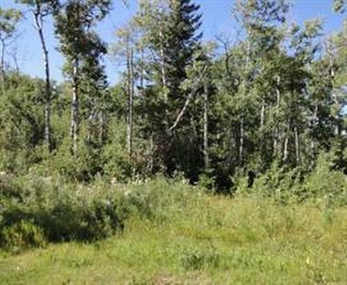 122 Wolf Run Drive, Rural Ponoka County, AB 