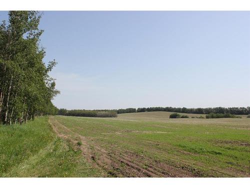 1262 Township 391, Rural Red Deer County, AB 