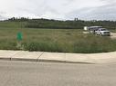 114 12 Avenue Ne, Sundre, AB 