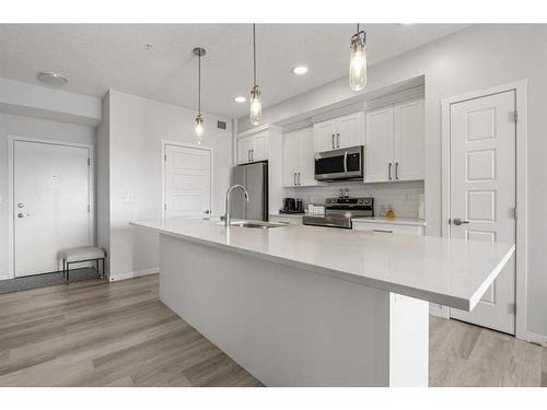 317-80 Carrington Plaza Nw, Calgary, AB - Indoor Photo Showing Kitchen With Upgraded Kitchen