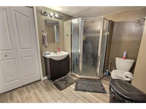 403 61314 Rr 463, Bonnyville, AB - Indoor Photo Showing Bathroom