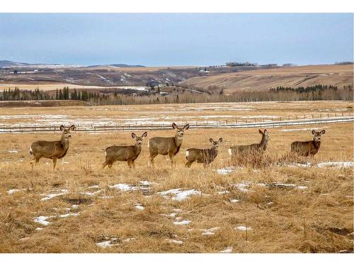 71 Sheep River Heights, Okotoks, AB - Outdoor With View