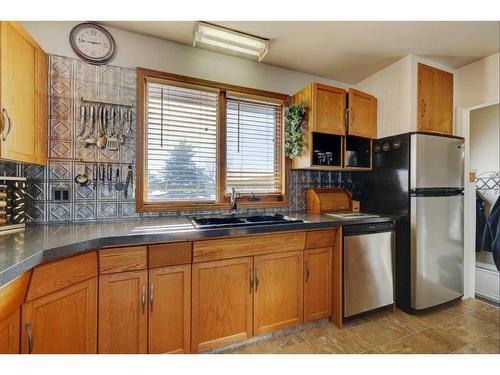 109 4 Avenue Se, Youngstown, AB - Indoor Photo Showing Kitchen With Double Sink