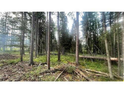 Lot 4 32529 Range Road 52, Rural Mountain View County, AB 