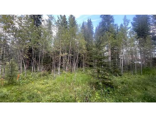 Lot 4 (116) 32529 Range Road 52, Rural Mountain View County, AB 