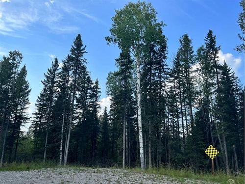 Lot 4 32529 Range Road 52, Rural Mountain View County, AB 