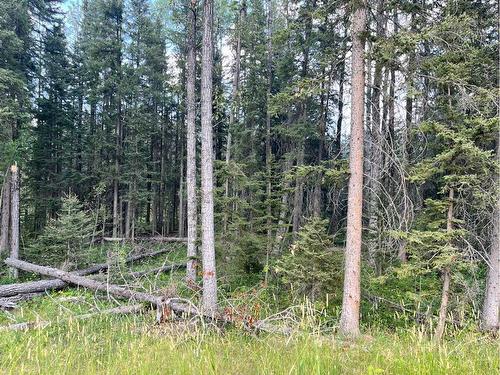 Lot 4 32529 Range Road 52, Rural Mountain View County, AB 