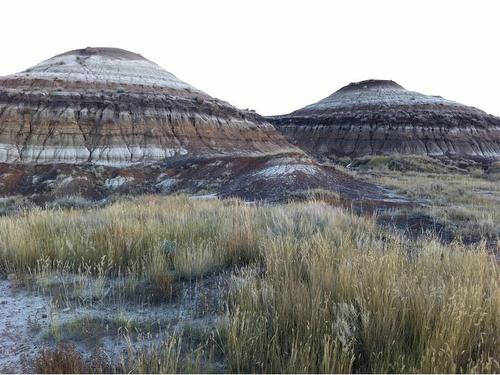 Nw-02-029-20W4M Nw Other, Drumheller, AB 